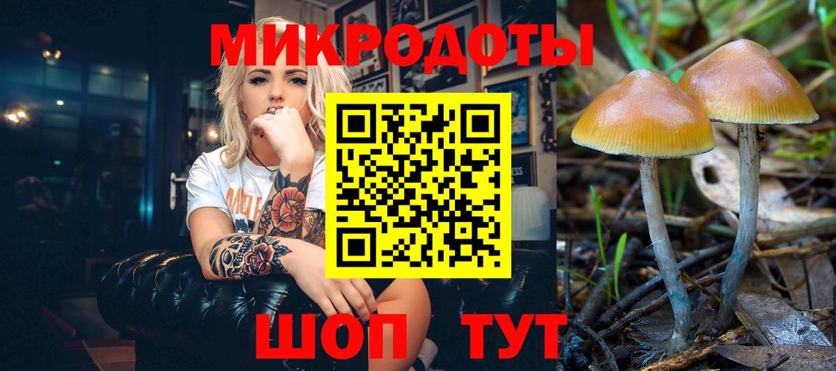 Галлюциногенные грибы мухоморы  Вход с VPN  Кандалакша 